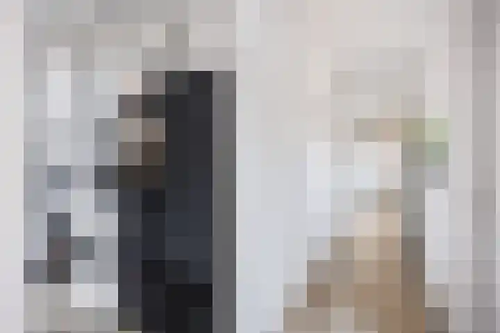 Skilpaed 9 Dronryp thumbnail 29
