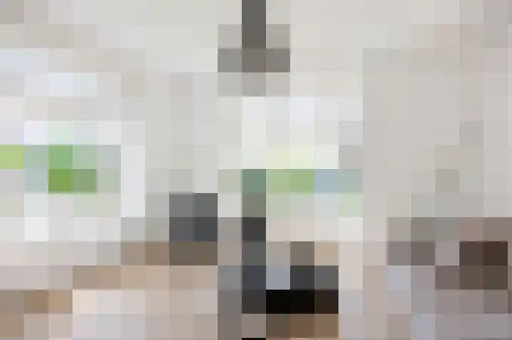 Skilpaed 9 Dronryp foto 3