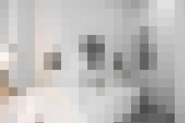 Skilpaed 9 Dronryp thumbnail 31