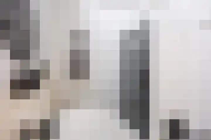 Skilpaed 9 Dronryp thumbnail 32