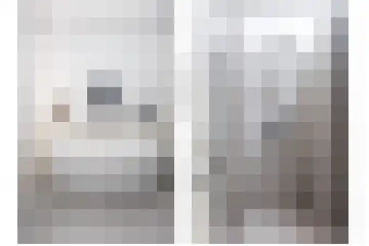 Skilpaed 9 Dronryp thumbnail 33