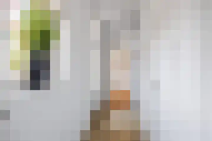 Skilpaed 9 Dronryp thumbnail 34