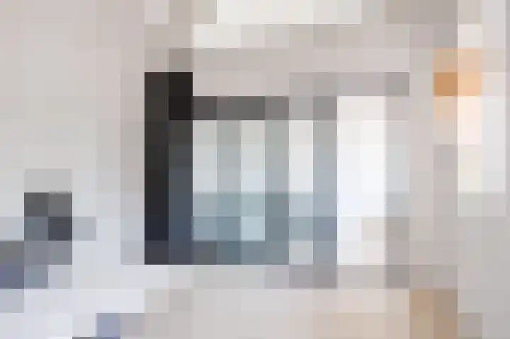 Skilpaed 9 Dronryp thumbnail 35