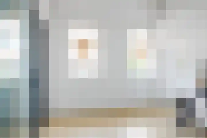 Skilpaed 9 Dronryp thumbnail 36