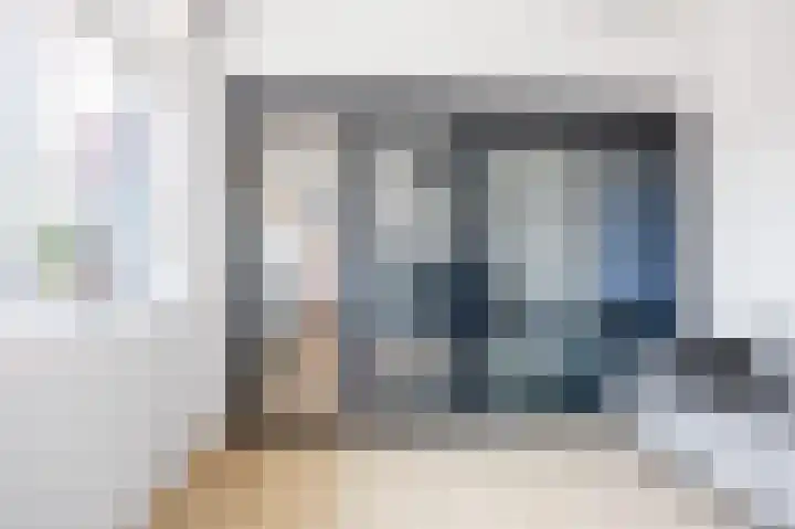 Skilpaed 9 Dronryp thumbnail 37