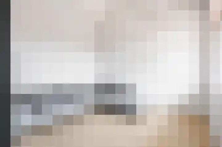 Skilpaed 9 Dronryp thumbnail 38