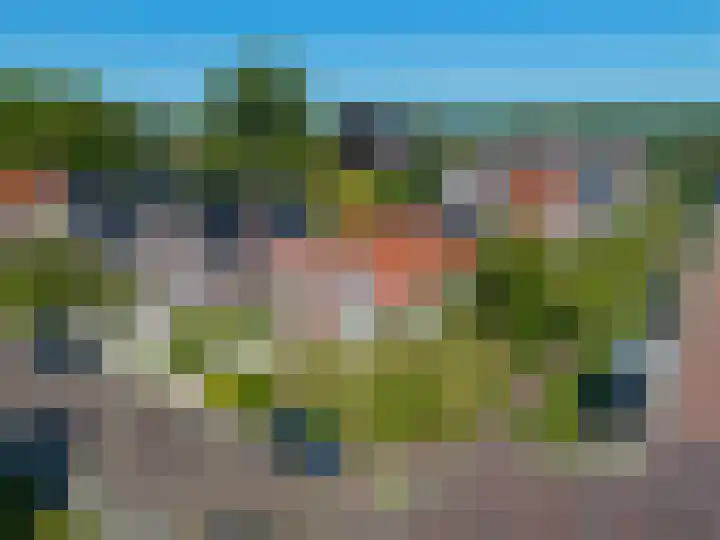 Skilpaed 9 Dronryp thumbnail 39