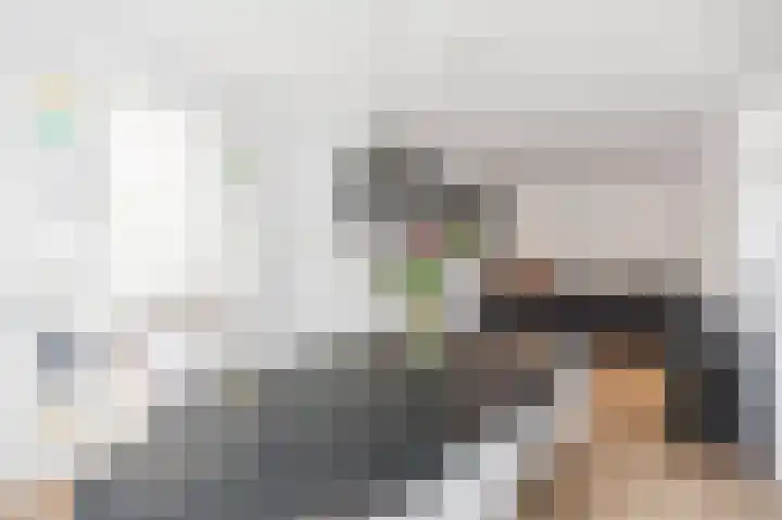 Skilpaed 9 Dronryp thumbnail 4
