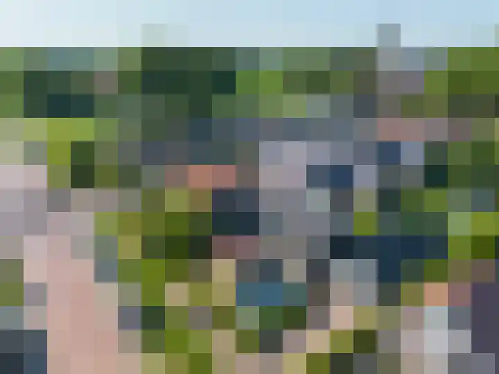 Skilpaed 9 Dronryp thumbnail 40