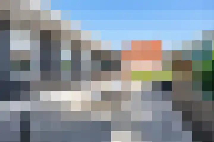 Skilpaed 9 Dronryp thumbnail 42