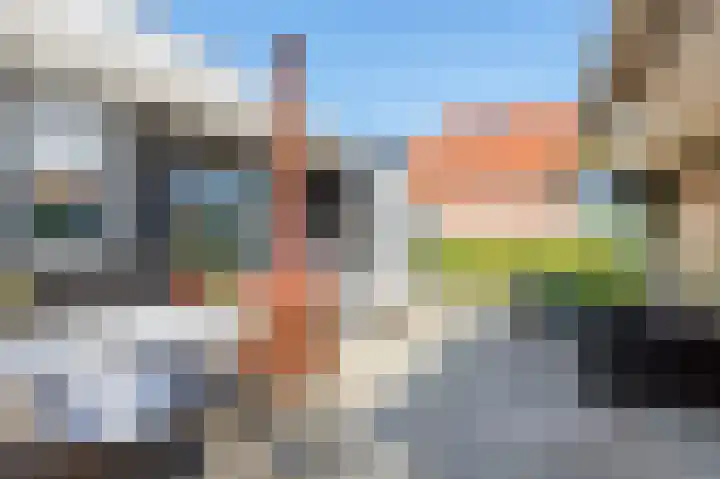 Skilpaed 9 Dronryp thumbnail 43
