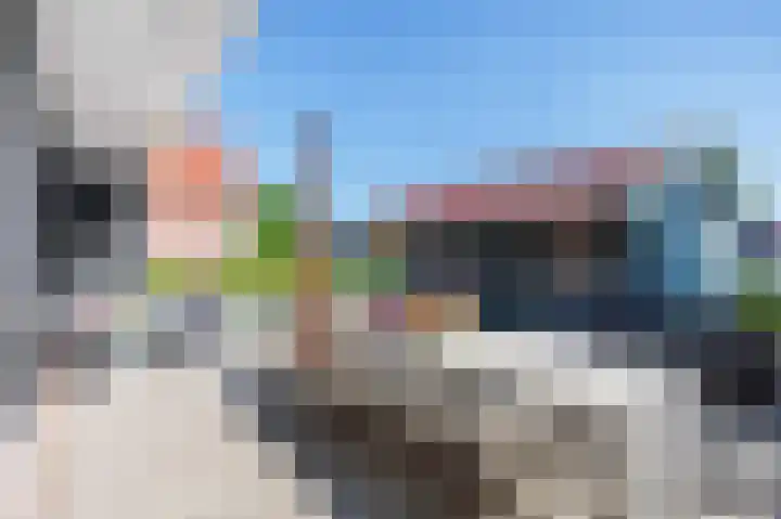 Skilpaed 9 Dronryp thumbnail 44