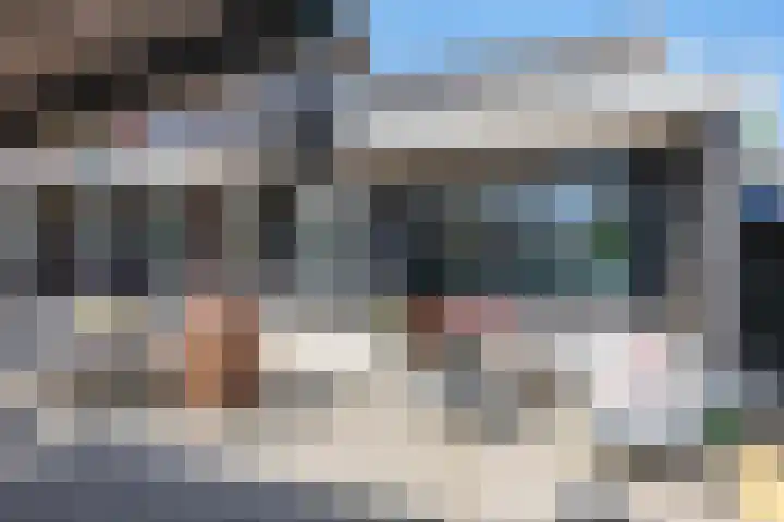 Skilpaed 9 Dronryp thumbnail 45