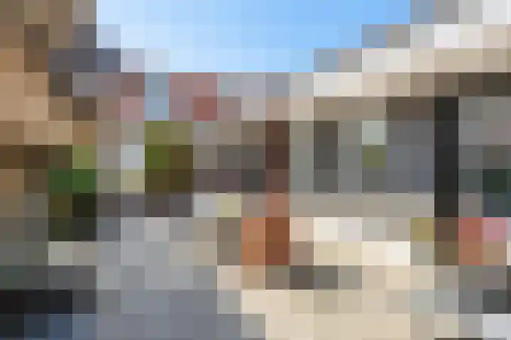 Skilpaed 9 Dronryp thumbnail 46