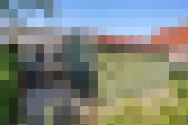 Skilpaed 9 Dronryp thumbnail 47