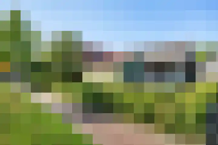 Skilpaed 9 Dronryp thumbnail 48