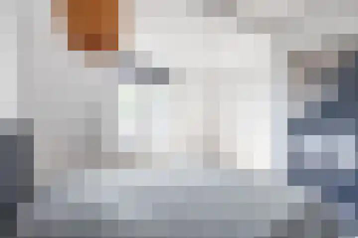 Skilpaed 9 Dronryp thumbnail 49