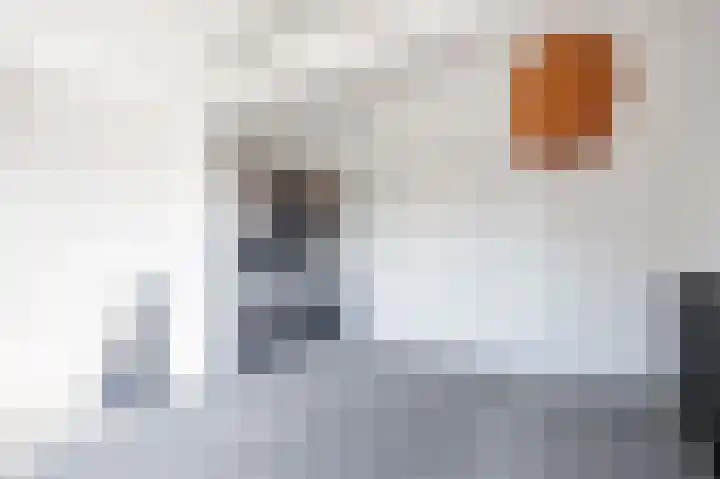 Skilpaed 9 Dronryp thumbnail 50