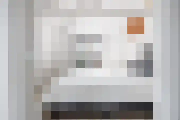 Skilpaed 9 Dronryp thumbnail 52