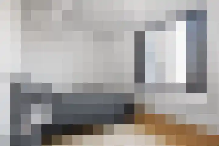 Skilpaed 9 Dronryp thumbnail 53