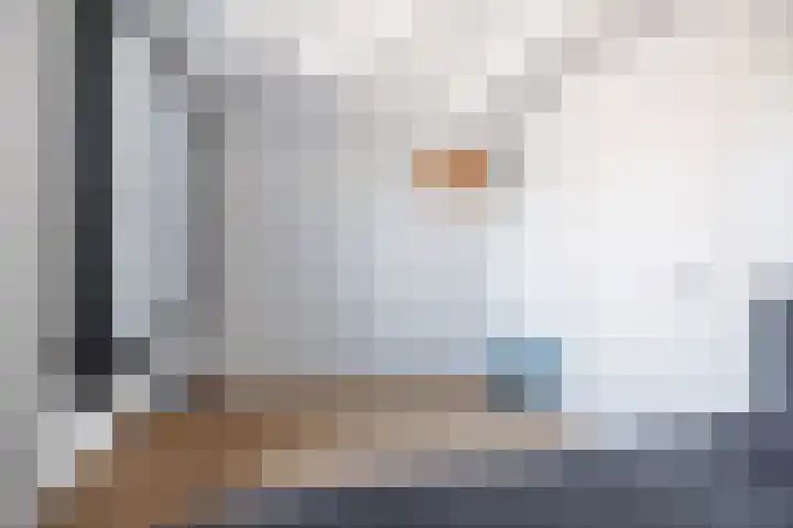 Skilpaed 9 Dronryp thumbnail 54