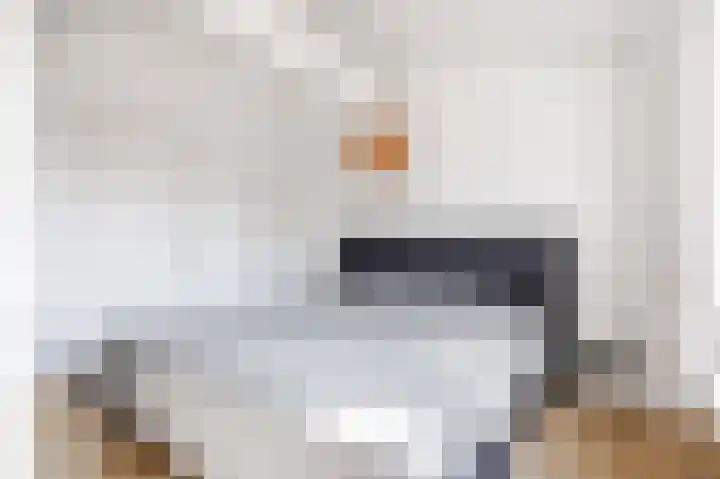 Skilpaed 9 Dronryp thumbnail 55