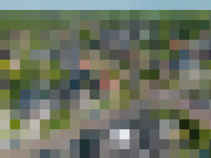 Skilpaed 9 Dronryp thumbnail 58