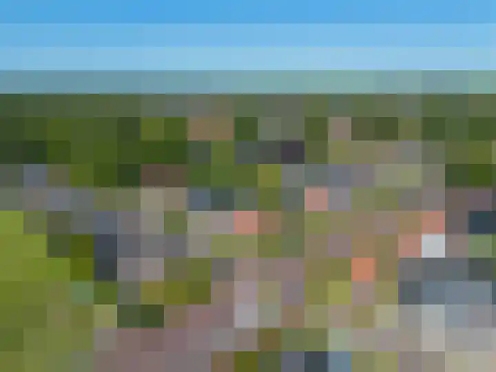 Skilpaed 9 Dronryp thumbnail 59
