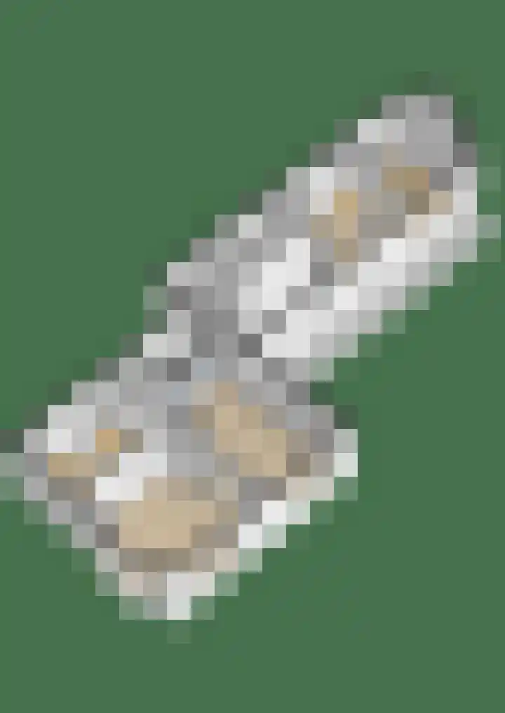 Skilpaed 9 Dronryp thumbnail 61