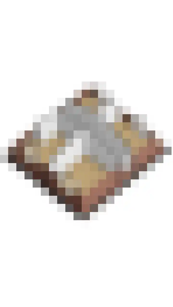 Skilpaed 9 Dronryp thumbnail 63