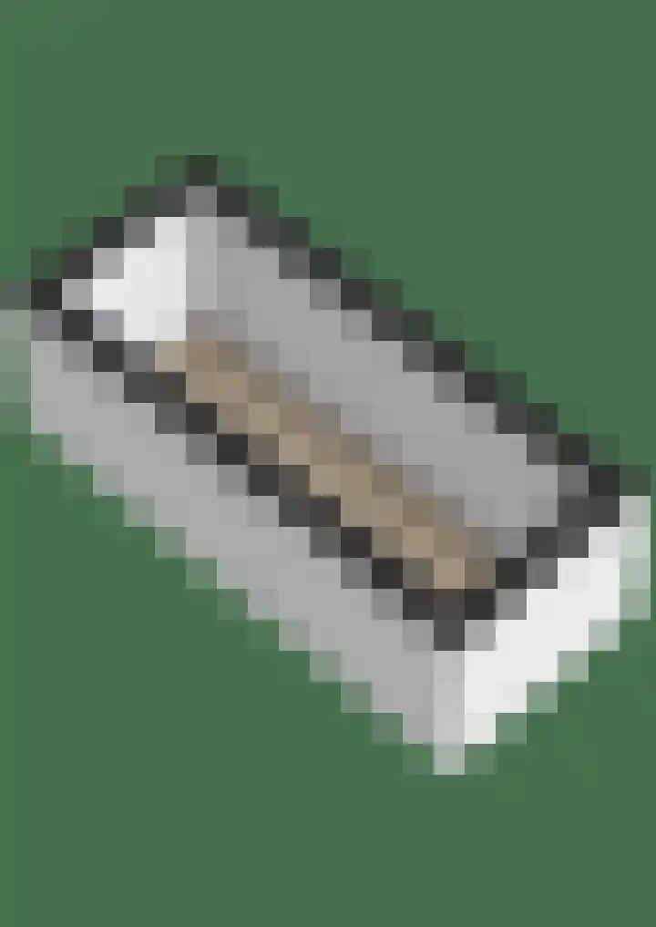 Skilpaed 9 Dronryp thumbnail 65