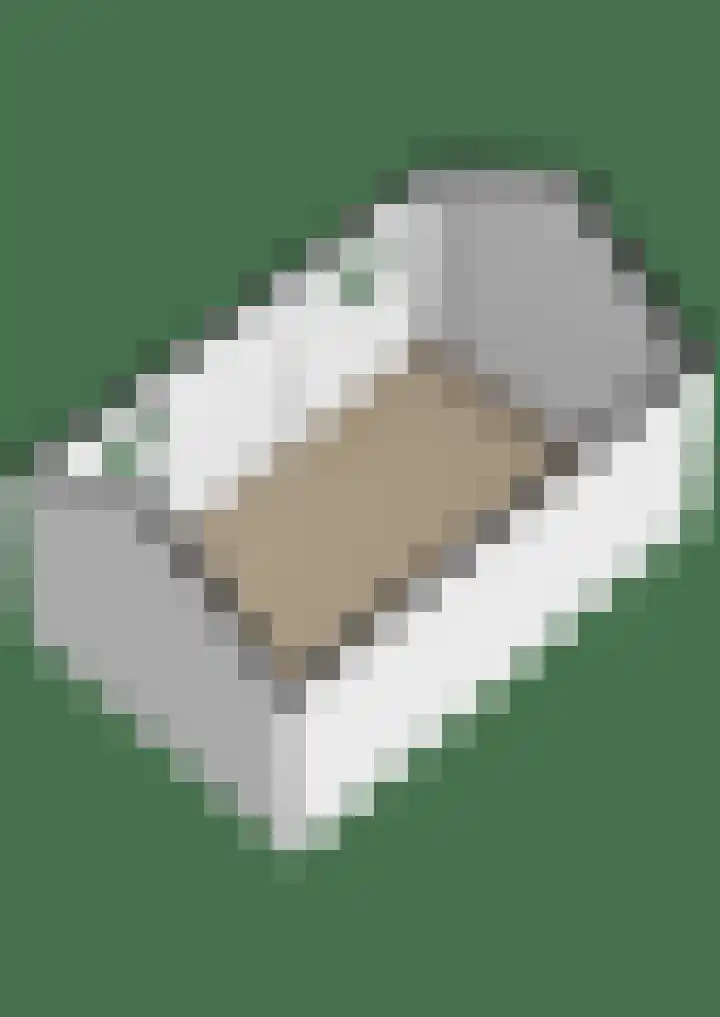Skilpaed 9 Dronryp thumbnail 67