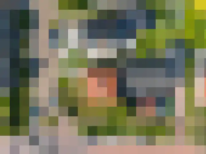 Skilpaed 9 Dronryp thumbnail 7