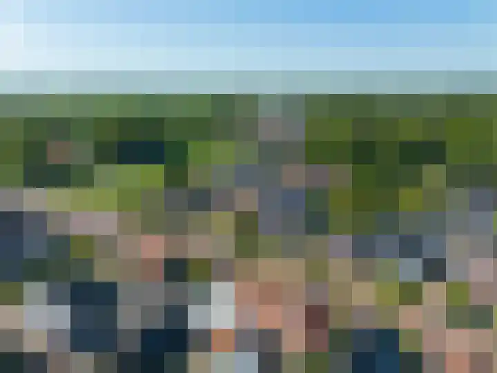 Skilpaed 9 Dronryp thumbnail 8