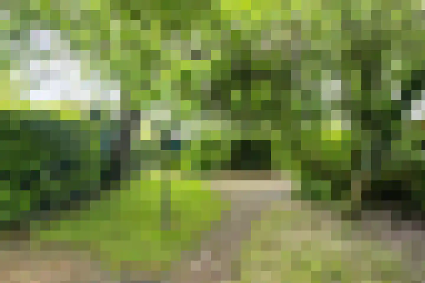 Skilplein 19 Easterein thumbnail 37