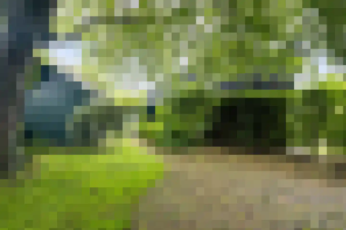 Skilplein 19 Easterein thumbnail 41