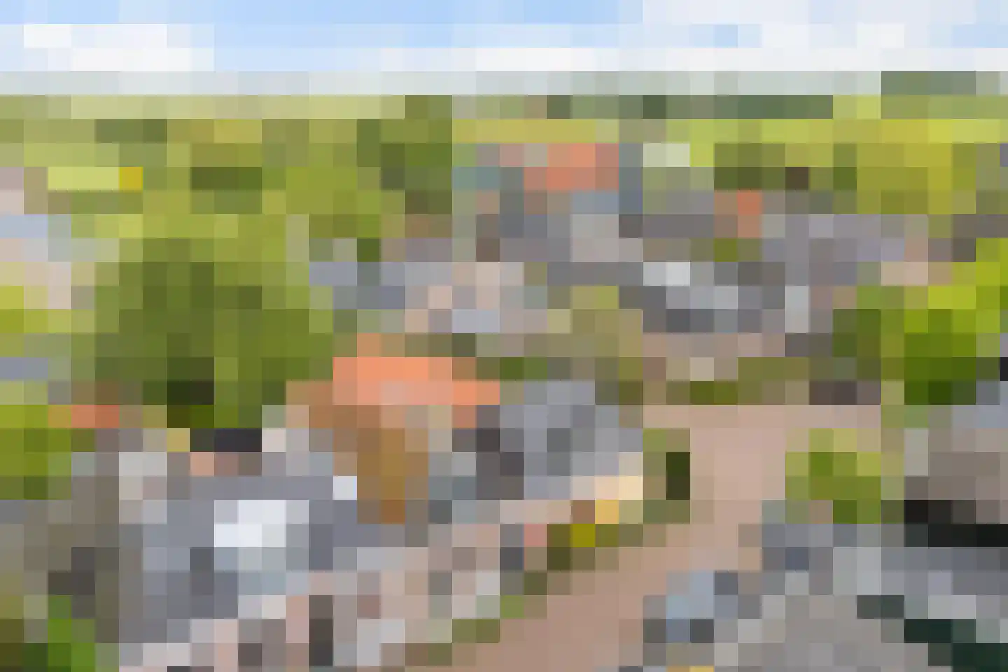 Skilplein 19 Easterein thumbnail 50
