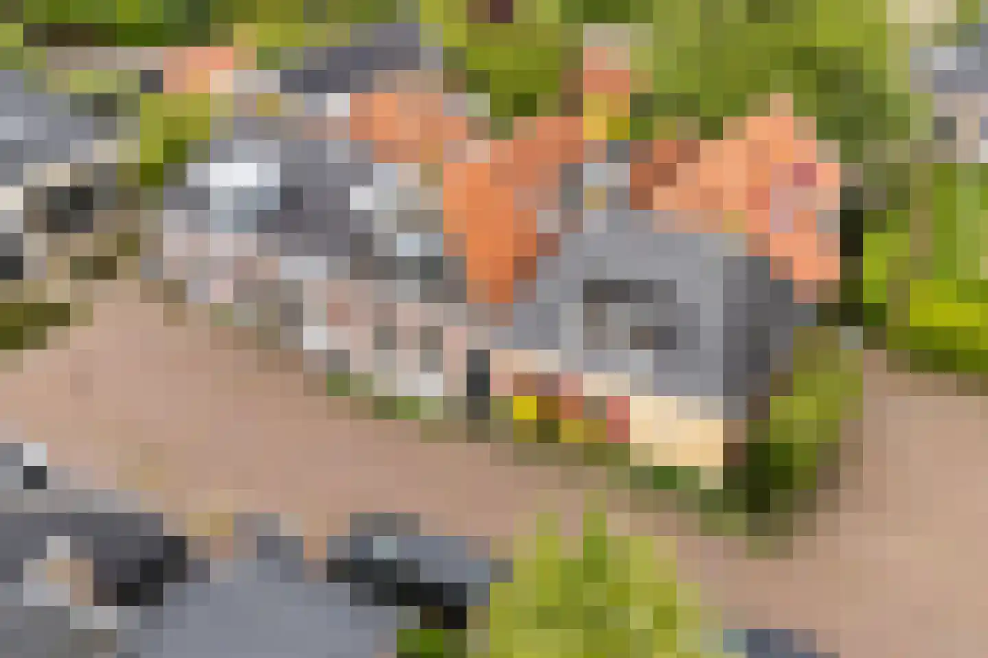 Skilplein 19 Easterein thumbnail 51