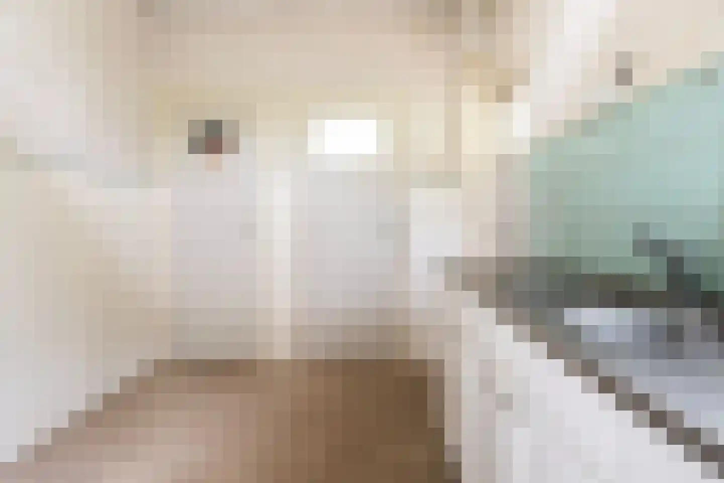 Skilwei 34 b Stiens thumbnail 13
