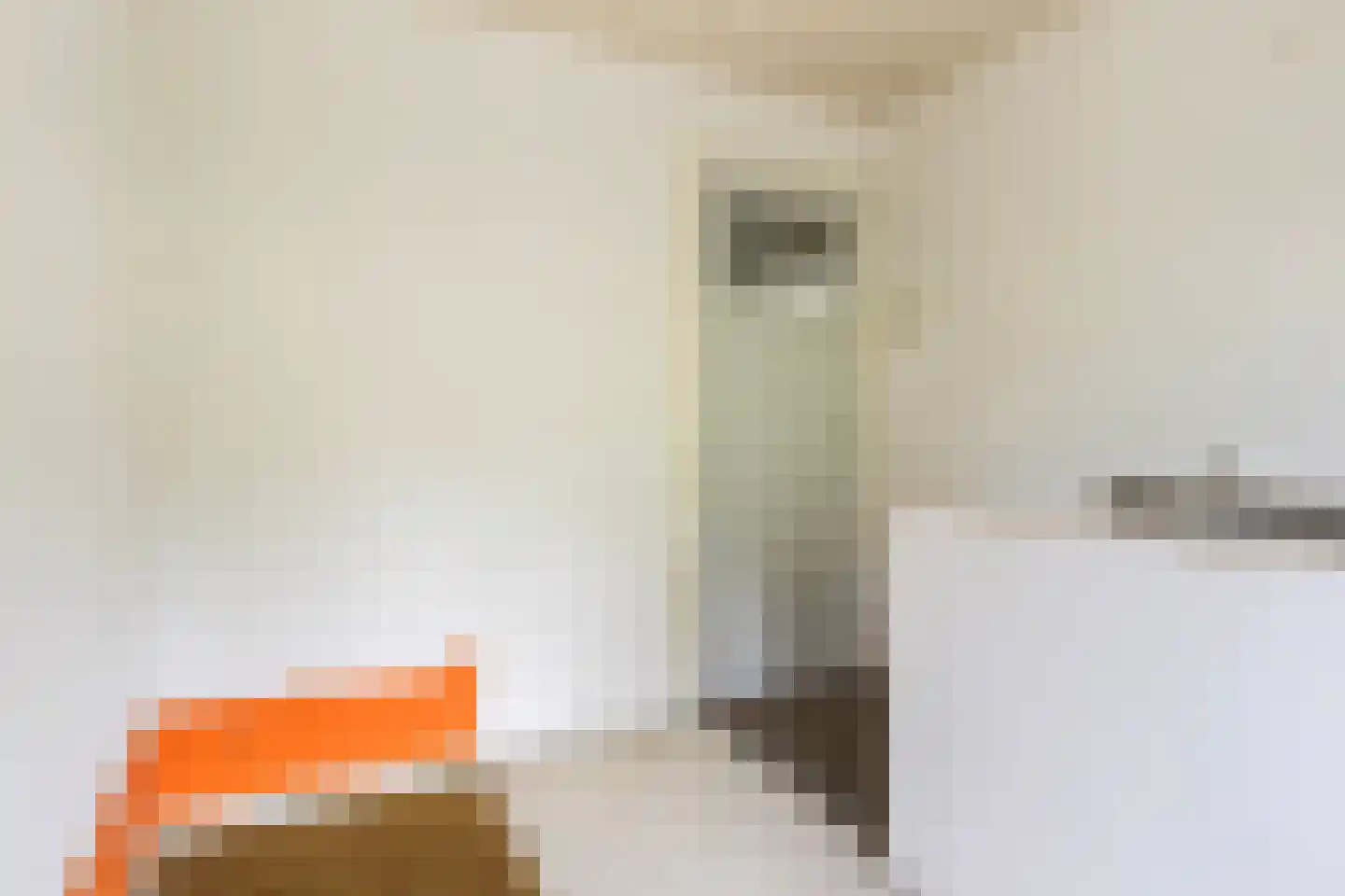Skilwei 34 b Stiens thumbnail 26