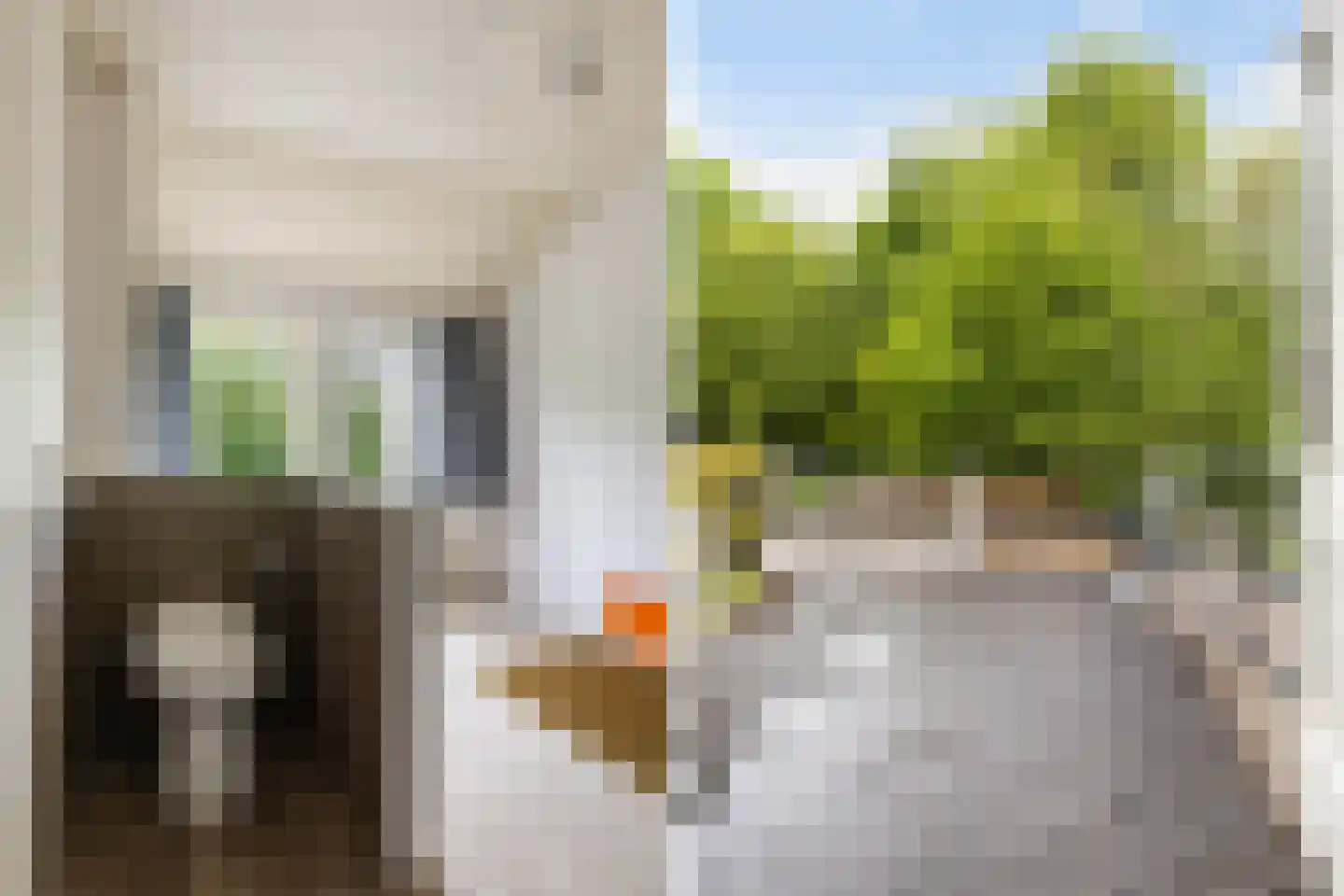 Skilwei 34 b Stiens thumbnail 28