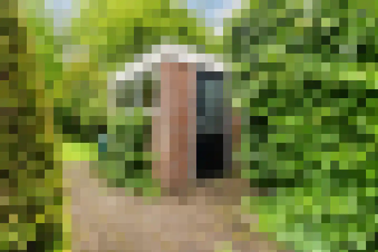Skilwei 34 b Stiens thumbnail 32