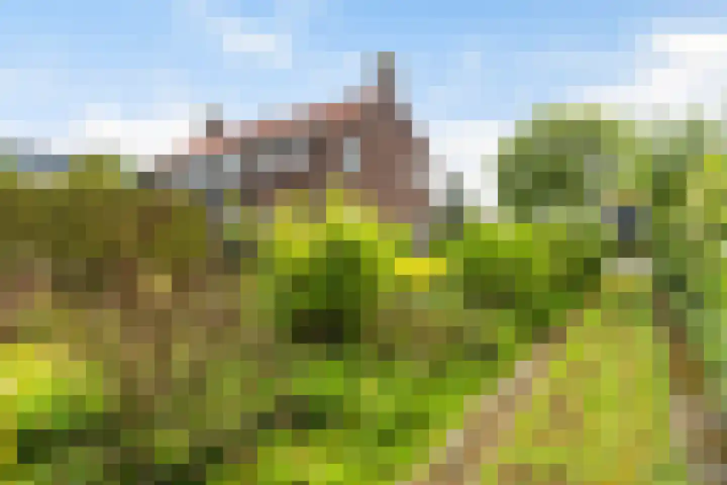 Skilwei 34 b Stiens thumbnail 35