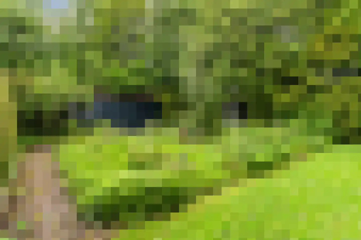 Skilwei 34 b Stiens thumbnail 36