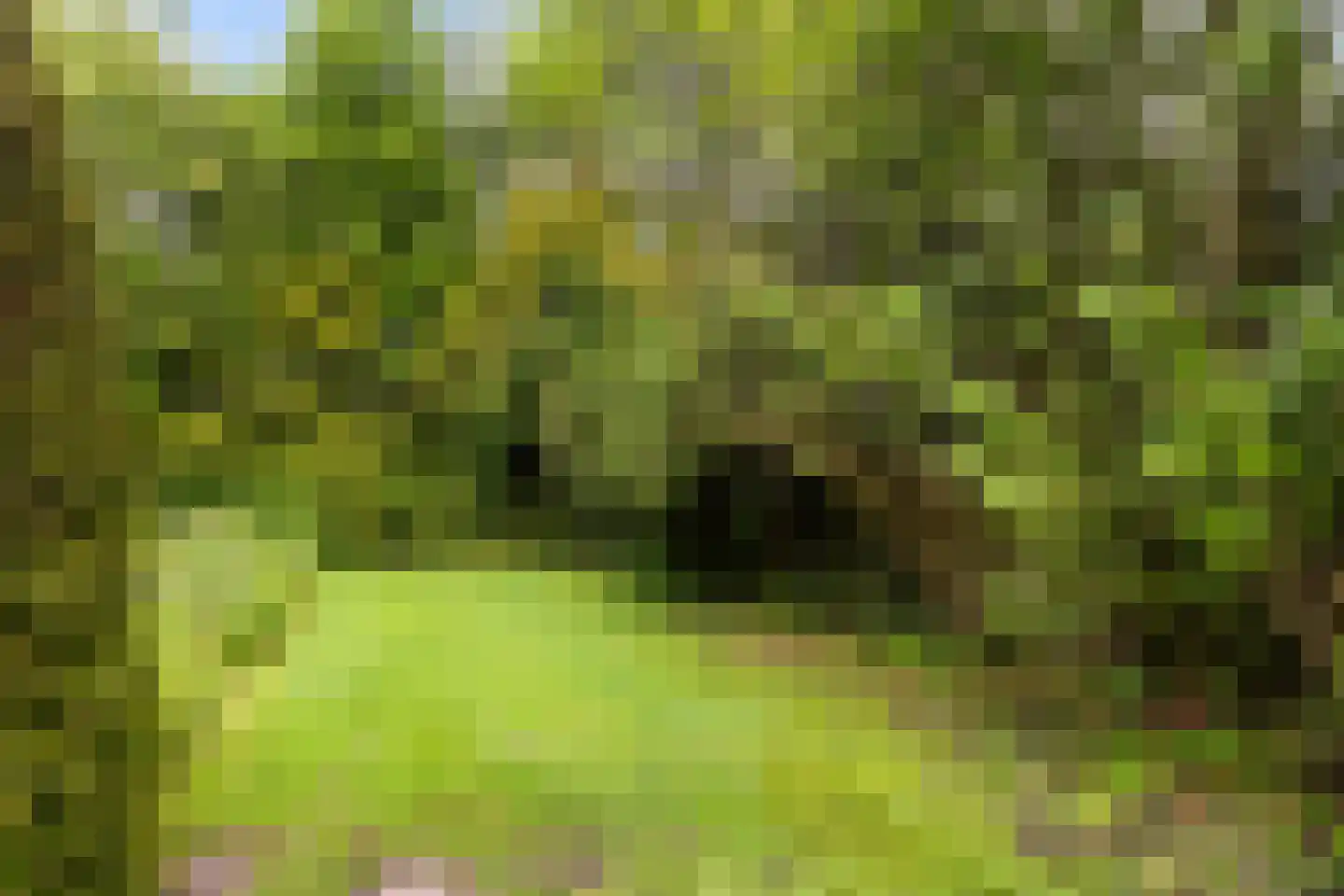 Skilwei 34 b Stiens thumbnail 38