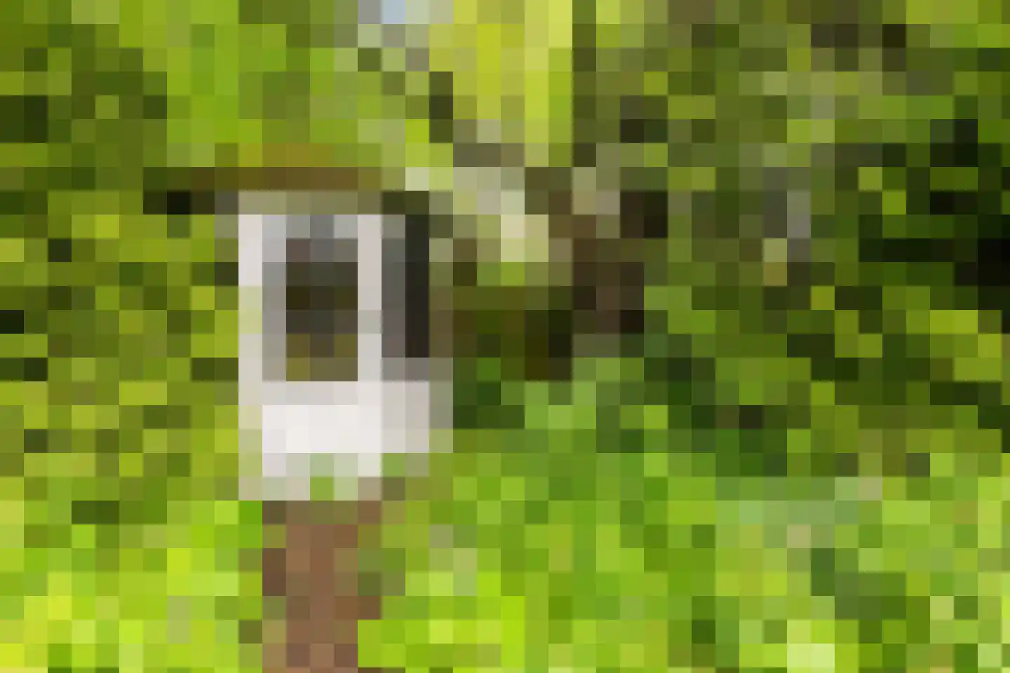 Skilwei 34 b Stiens thumbnail 39