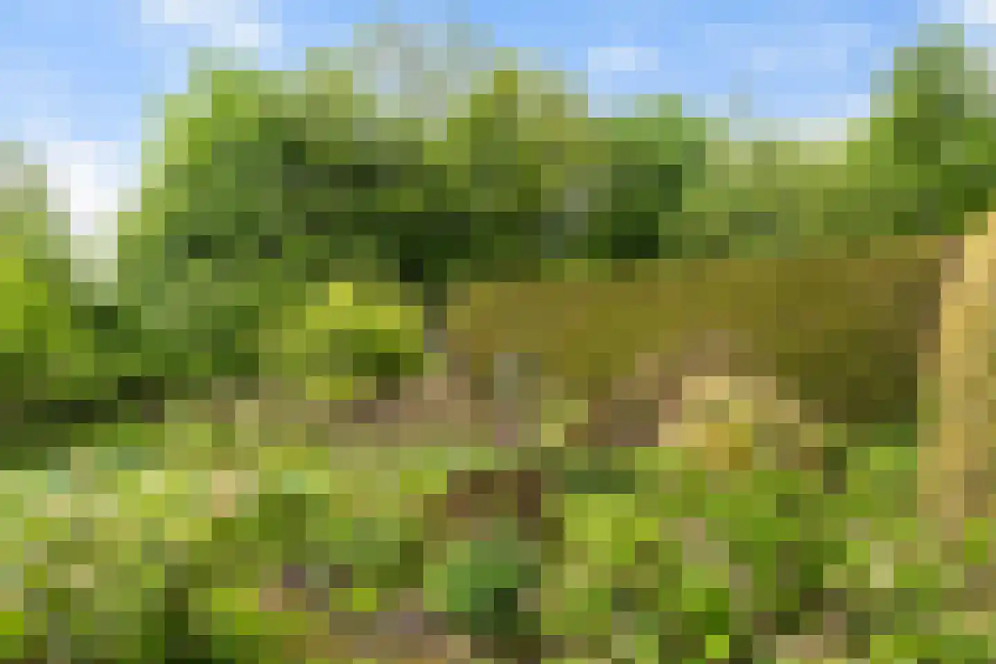 Skilwei 34 b Stiens thumbnail 40