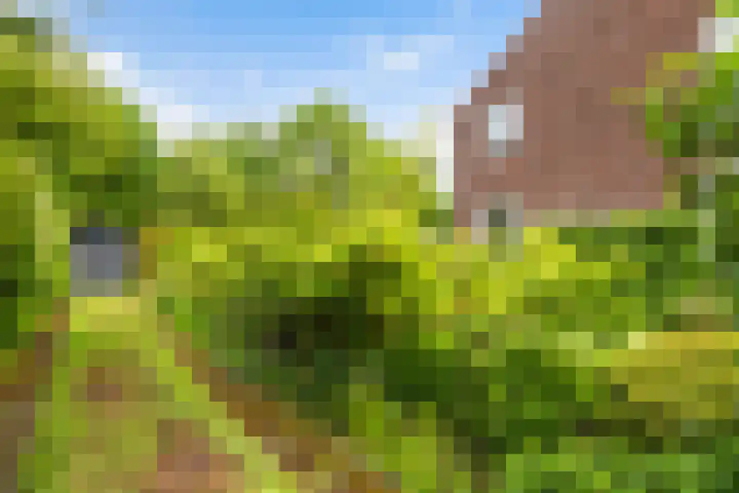 Skilwei 34 b Stiens thumbnail 41