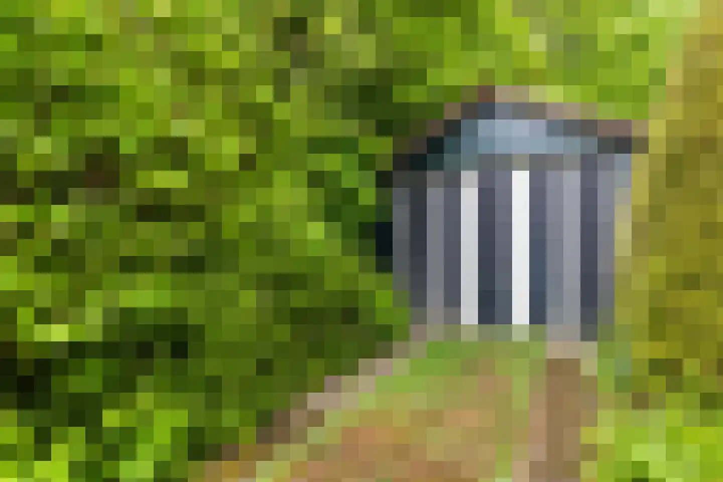 Skilwei 34 b Stiens thumbnail 42