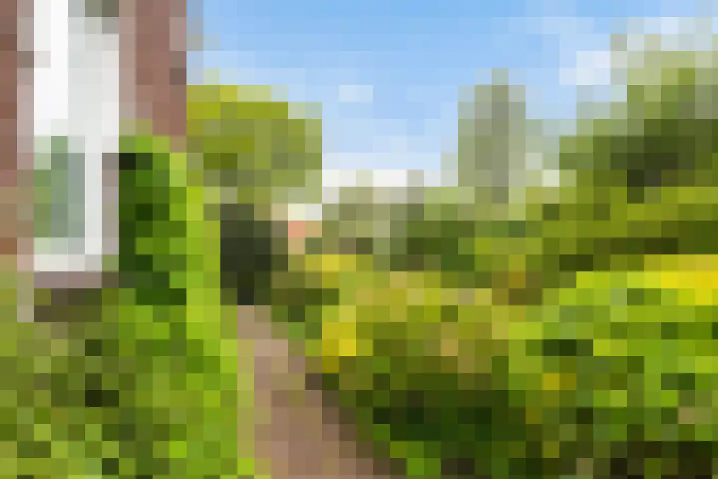Skilwei 34 b Stiens thumbnail 43